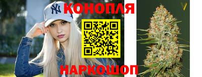 спиды Краснодар